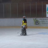 Topolcany_2011_pripreme_0001