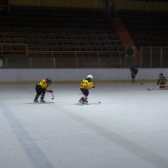 Topolcany_2011_pripreme_0067