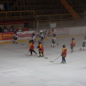 Topolcany_2011_pripreme_0200