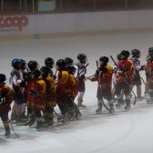 Topolcany_2011_pripreme_0276