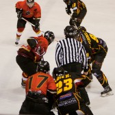 KHL_Mladost_vs_HDD_Bled0048