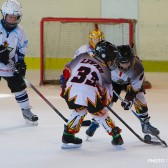Mala_skola_zavrsni_turnir_28.04.2013_0266