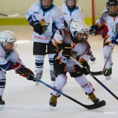 Mala_skola_zavrsni_turnir_28.04.2013_0270