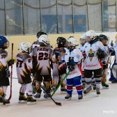 Mala_skola_zavrsni_turnir_28.04.2013_0351