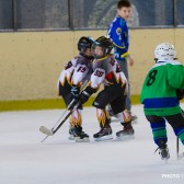Mala_skola_zavrsni_turnir_28.04.2013_0361