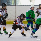 Mala_skola_zavrsni_turnir_28.04.2013_0420
