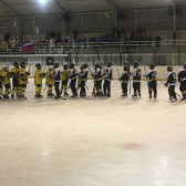 IMG_7631