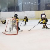 Image_35